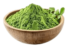 Moringa ingredient